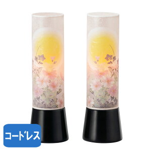 ~ aƓ ɐ̌ R[hX ~ _ (1Γ) No.2956 (_ s R[hX) X^hCg tACg ~ V~ _ ~  