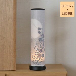 ~ LED _ ueEe傤v~傤 ~  ~ { Y Ɩ a a tACg [Cg ~jTCY ~ V~ R[hX ~傤  m36971 3