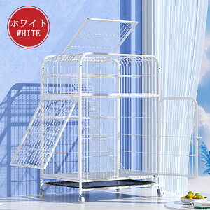 yyVX[p[SALEzL P[W LbgP[W 3i L݌v Rgݍ킹 g[t LhAt nbNt ^ LQ[W   LbgnEX lR nEX i 