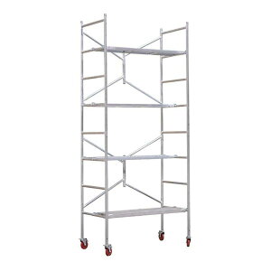 Ƒ  ݑ ړƑ 255cm 4i zC[t