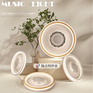 2024ŐV V[OCg LED Xs[J[V[OCg Ɩ  F Ɩ  a m ߓd ȃGl rOƖ Rt