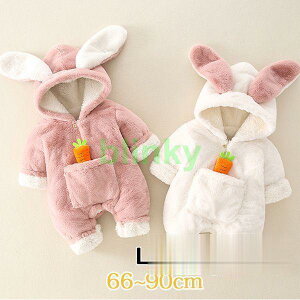    p[X xr[ ETM x e K nEB ߑ q  {A t[ht V  Jo[I[ j̎q 