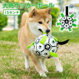 p{[ TbJ[{[ pނ pi e  mߋ Pߋ g[jO ^s XgX ϋvǂ Ȃ e ^ p 