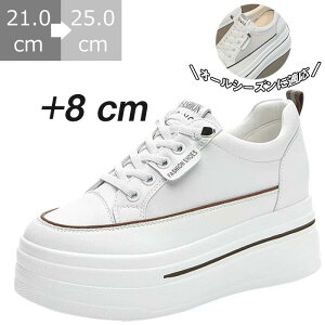  Xj[J[ 8cm 6cmq[ gAbv fB[X y U[ bV [Jbg Cq[ EH[LOV[Y tbgV[Y C  RtH[g ɂ ʋC 