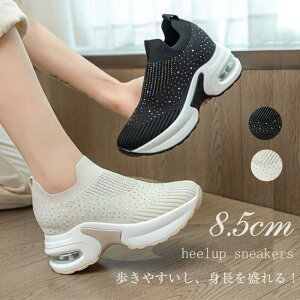 Xj[J[ fB[X V[Y bV gAbv V[NbgV[Y V[NbgC V[NbgXj[J[ C\[ Xj[J[  RȂ q[ 8.5cm ʋC  