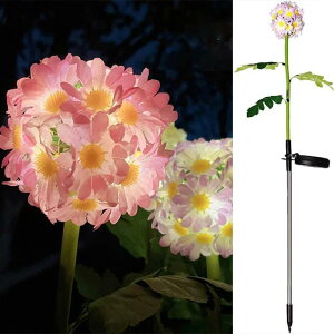 2{Zbg \[[Cg LED OK[ffR[VCg fCW[  ߍ݃Cg C~l[VCg \[[plt ɂ₳ ȃGl h h 뉀 Ő 