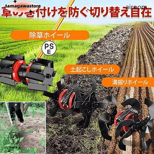 uŊ@pvk^@ p@\zC[ yNzC[ a@zC[ _ K[fjO  ƒ؉ i y g₷ @ 