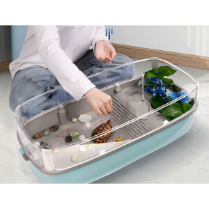 T̐ Eoh~tFX J P[X ^[g^N ڂ T̐ ώ@  Ki o₷ ̌^ 3TCY y