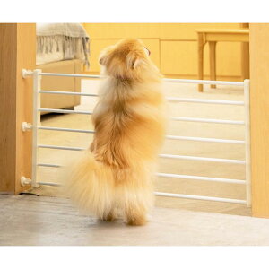  tFX ybgQ[g Q[g Ԃ ybg  L nC^Cv X`[Q[g hAt Q[g  Ki ˂ ybgtFX