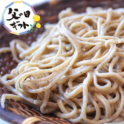 そば父の日ギフト蕎麦手打ち生そば十割そば十割蕎麦国産そば粉そばつゆ付き送料無料