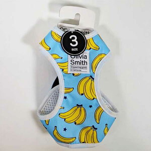 IrAX~X hbO xXgn[lX oii 3 ipn[lXj y[։z