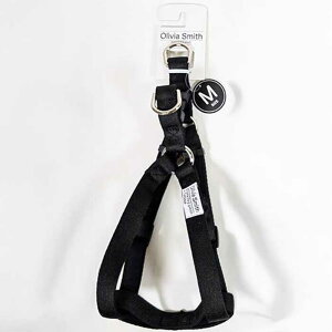 IrAX~X hbOn[lX ubN MTCY ipn[lXj