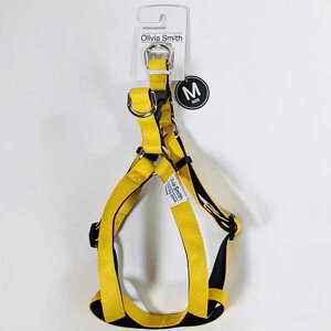 IrAX~X hbOn[lX CG[ MTCY ipn[lXj