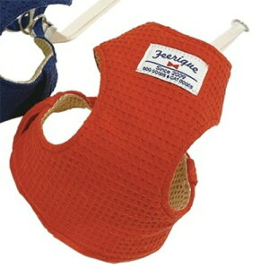 tF[N btxXgn[lX 3 bh ipn[lXj y[։z