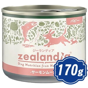 W[fBA hbO ps[ T[[X 170g hbOt[h ʋl yKiz