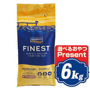 tBbV4 hbO ps[  6kg fish4dogs Rv[gps[YhbOt[hyKiz