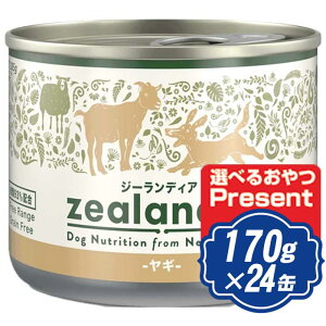 yő2000~OFFN[|zzz W[fBA hbO EFbg M 170g×24 hbOt[h ʋl yKiz