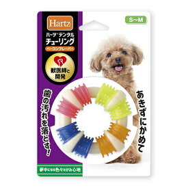 【最大1100円OFFクーポン配布中】 ハーツ デンタル チューリング S 超小型犬～小型犬用（犬用おもちゃ）