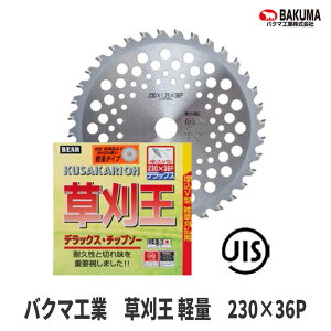 yoN}H/BAKUMAz`bv\[w y 230×36Px [][{][JIS][ϔ]