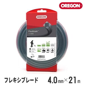 yIS/OREGONz iCR[hwtLVu[hx(h[ic^Cv^4.0mm×21m) [111085E][iCwbh][iCJb^[][@ @][WFbgtBbg Jet-Fit]