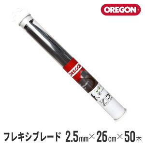 yIS/OREGONz iCR[hwtLVu[hx(pX^^Cv^2.5mm×26cm×50{) [111112E][iCwbh][iCJb^[][@ @][WFbgtBbg Jet-Fit]