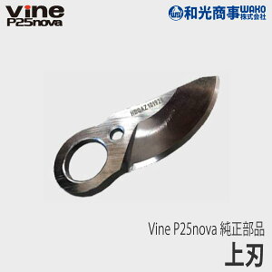 ya/WAKOz Vine P25nova  i n [3040000200000][֐n][oC][doT~][nT~ ͂ obe[ ʎ][Z]