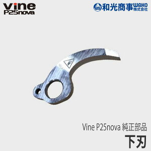 ya/WAKOz Vine P25nova  i n [3040100200000][֐n][oC][doT~][nT~ ͂ obe[ ʎ][Z]
