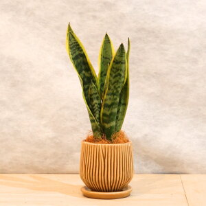 ϗtAyTXxAzIׂ4F̓픫MtiEEO[EuEj^Cʂŕɂ^Ă₷^CeAO[^S҂ɂlC^k