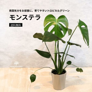 ϗtAyXezv^gsJȐ؂ꍞݗt͂̈Ă₷^O[^CeAɉf^ɂlC̓썑nA^nCAD̃MtgEv[