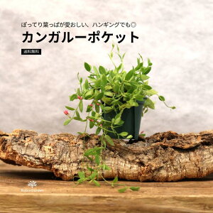 ϗtAyfBXLfBA@JK[|PbgzO[v^Ă₷^nMOɂhO[^킢tṕ^邢ɉf邨CeA^