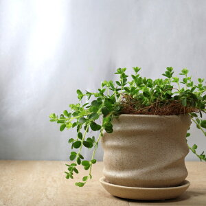 ϗtAyyy~Afs[izIׂzCgEubN픫t y₩ȗtpƍ肪 Ă₷ CeAO[ Mtgɂ 