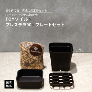 ϗtApZbgyTOY\C×vXe90×v[gz^rK[fIWi|{y^ES҂ɂ