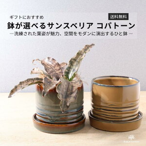 ϗtAyTXxA Rpg[z EMt^2FIׂ铩픫^TZxA LL[ Rpg[^Ft́^vňĂ₷^^CeAO[