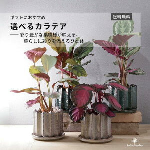 ϗtAyIׂJeAz 픫t CeAO[ ȗt͗lōʂlC̐AbMtgɂ bt@VA[^ Vo[v[g _IVS@sNc[^N