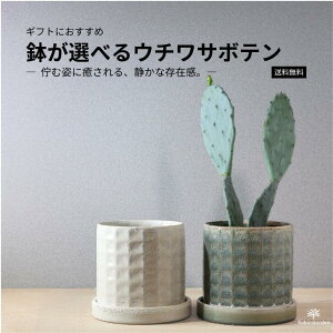 ϗtAyE`T{ezIׂiXO[^AC{[j픫t^^CeAO[^Mtg ^