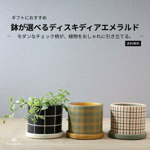 ϗtAyfBXLfBAGhzIׂ^픫Mt^`FbN^Ă₷TCY^SOK^i`CeA^O[^MtgEv[