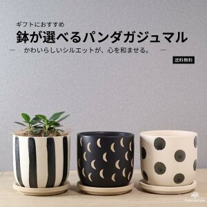 ϗtAyp_KW}zIׂ铩픫i܂܁EEʁjMt^tςۂ@킢^TCYňĂ₷S҂ɂlC^O[^