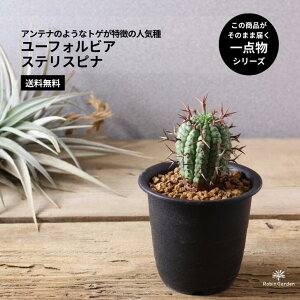 ϗtAy[tHrA XeXsiz A gQ͂̐lC^A^_^AECeAO[yz