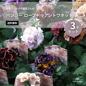 yTgE| pW[ [uhDAglbg 3Pz󏭕i^t炫^iJ[^Ă₷^K[fjOɁ^MIX yz