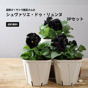 yTgE|@V@GEhDEkz3PZbg@pW[c@󏭐lCi^ɋ߂[ubNJ[ƃEF[uԕق́^񂹐AԒdɂ߁yz