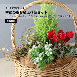 yG߂̊񂹐AԕcZbgzRjt@[EK[fVNEC[vcEAbTbꏉSҌ 񂹐ALbg NX}X