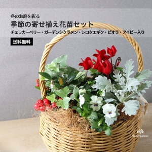 yG߂̊񂹐AԕcZbgz`FbJ[x[EK[fVNEV^GMNErIEACr[bS҂S ~̊񂹐ALZbg ŉ؂₩