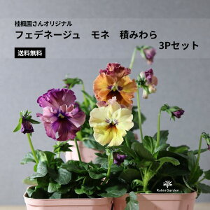 jIWi pW[ ytFfl[W l ς݂z 3|bgZbgb̍̔yރAeB[NJ[b񂹐AEԒdEAɁyz