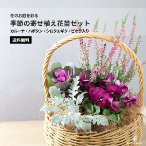 yG߂̊񂹐AԕcZbgzJ[iEn{^ErIinjEV^GMNEACr[bVo[[tflJ[~̊񂹐AZbg