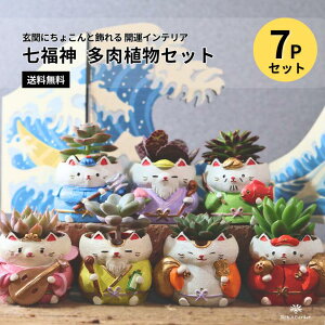 y_ AZbg 7Pz J^CeA W|bg ~jtiނ܂j֏ 킢u ɂb单V zܑ ٍV V \ Vl by