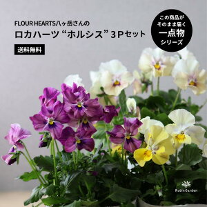 yFL0UR HEARTSxzJn[cgzVXh rI 3|bgZbgbjAXJ[h߂IbF̃pW[ErIbib񂹐AEԒdɁyz