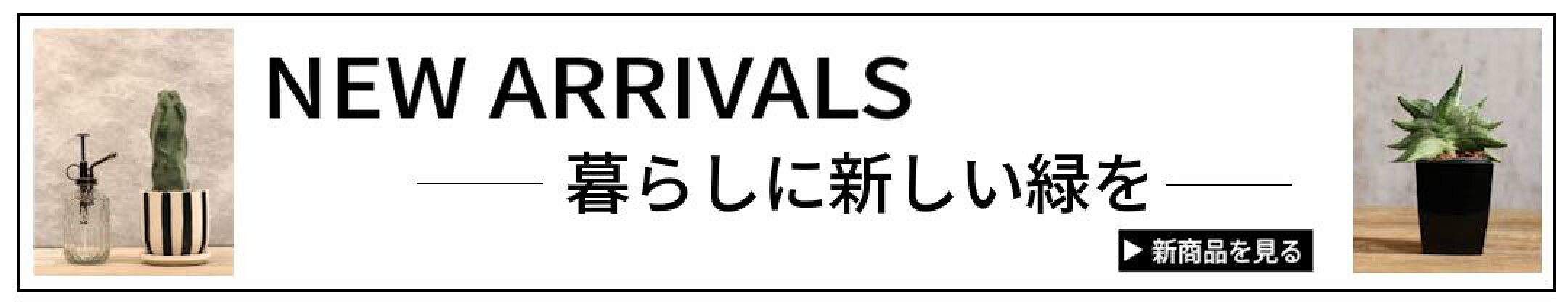 新商品はこちら