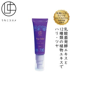 RX xWT_ NZ 30mLbϕi et XLPA GCWOPA e ێ ې VR A nRX ɂ鏬 RV\]ς v[