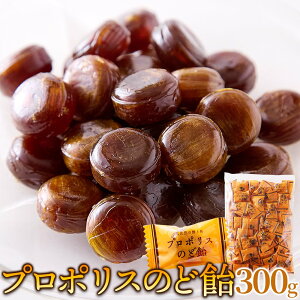 VR v|X̂ǈ (300g) Hi  ݂͂ LfB n[uGLXz 