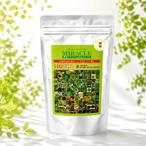 楽天市場】dds 酵素パワーペースト 150g（5g×30包入）の通販